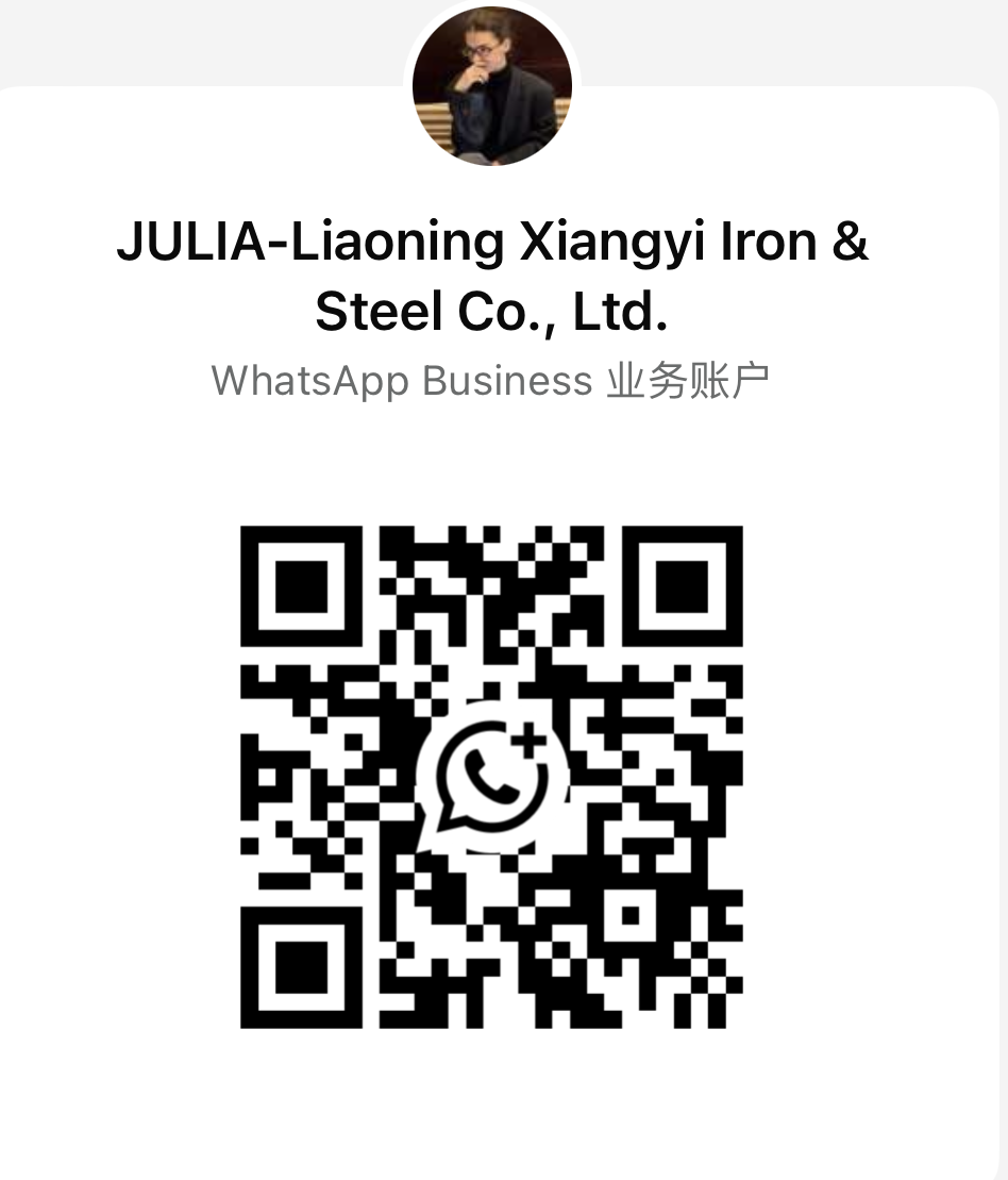 Julia WhatsApp QR Code